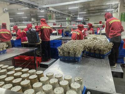 市農(nóng)業(yè)農(nóng)村局局長于靈才帶隊(duì)赴廈門開展招商引資 促進(jìn)農(nóng)業(yè)貿(mào)易合作