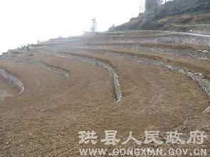 珙縣土地整理項目迎接市國土資源局初次評估驗收，為房地產(chǎn)開發(fā)奠定基礎