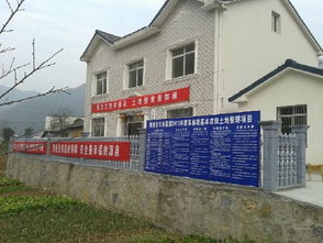 樂天溪鎮(zhèn)啟動高標準基本農田整理項目，夷陵區(qū)統(tǒng)籌推進土地資源優(yōu)化與農業(yè)現(xiàn)代化